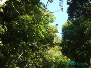 Perhentian Islands - Jungle Trail