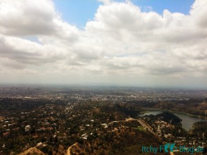 Aussicht vom Hollywood Sign