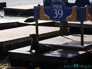 Pier 39