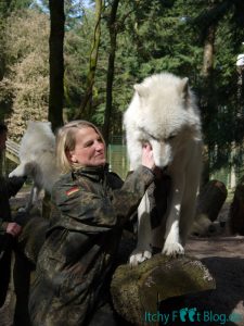 Wolfcenter Dörverden - Besuch im Gehege