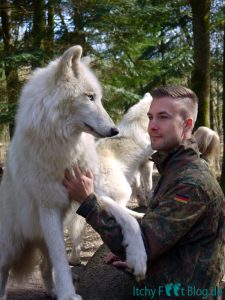 Wolfcenter Dörverden - Besuch im Gehege