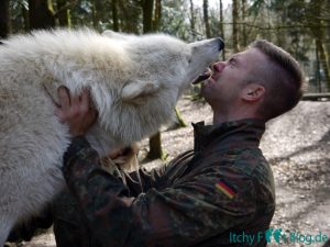 Wolfcenter Dörverden - Besuch im Gehege