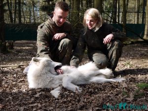 Wolfcenter Dörverden - Besuch im Gehege